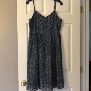 Loft Blue Lace Dress, Size 8. NWT